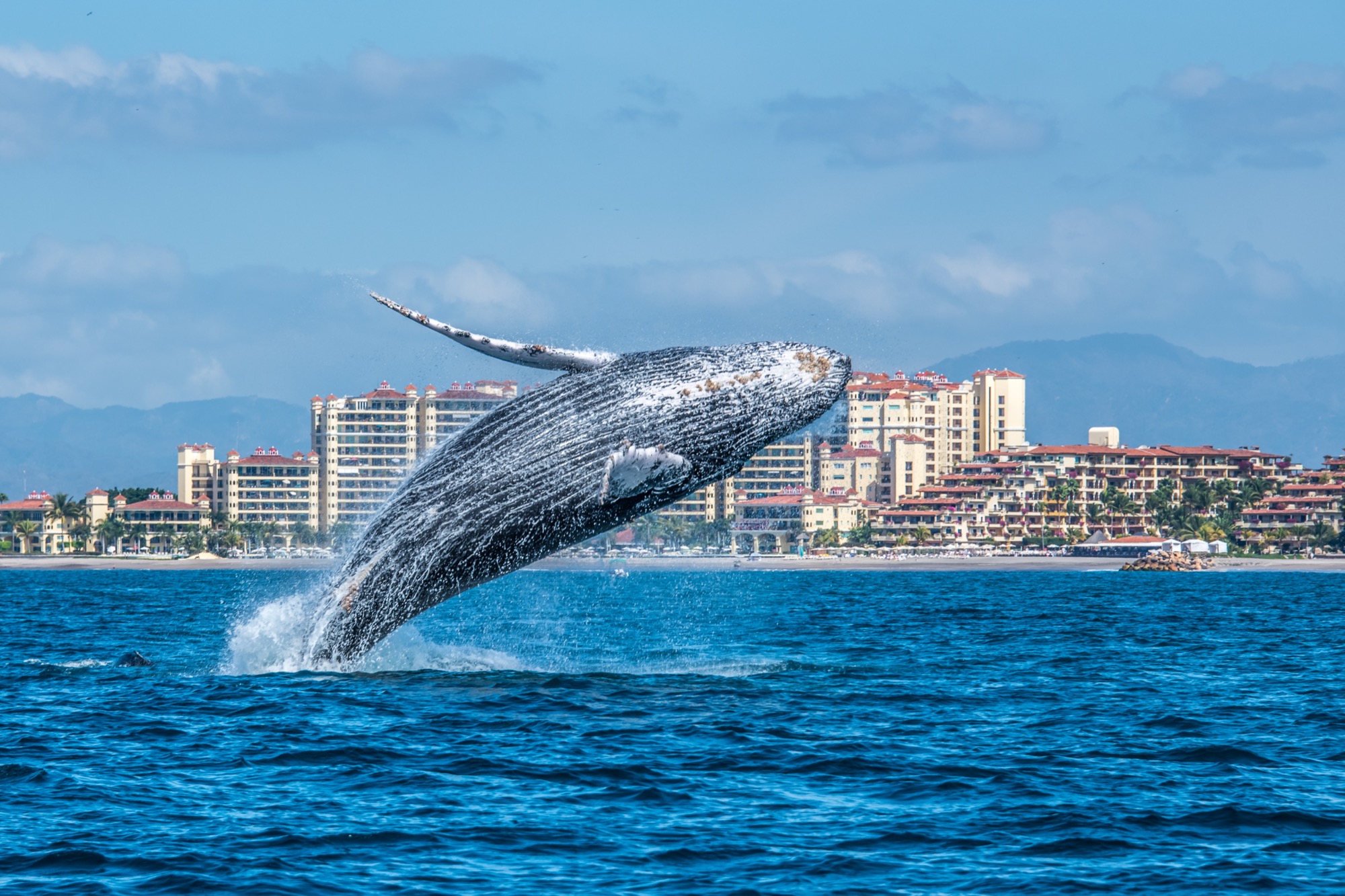 Puerto Vallarta